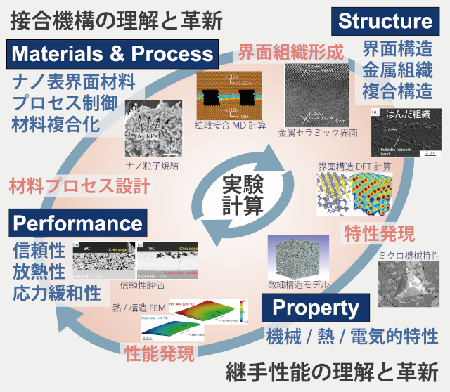 研究の全体像